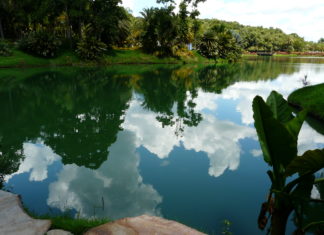 Instituto Inhotim: venha ver, sentir e viver esse lugar Instituto Inhotim Brumadinho