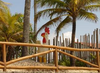 Porto de Galinhas, muito mais que um destino turístico Porto de Galinhas Pernambuco