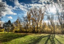 Viajar é mudar a roupa da alma, Mário Quintana