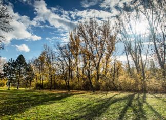 Viajar é mudar a roupa da alma, Mário Quintana
