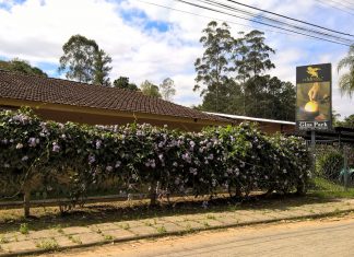 Rota do Cristal e Porcelana – Projeto Morador Turista Rota do Cristal e Porcelana