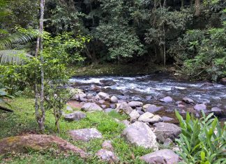 Nova Rússia, Blumenau: o sossego das cachoeiras de SC