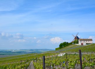 Itinerário de Viagem, Blog no Amigos da Casa Blog Itinerário de Viagem