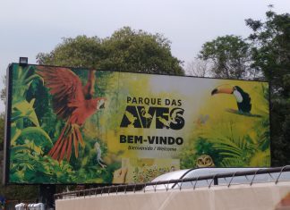 Parque das Aves em Foz do Iguaçu, um passeio essencial Parque das Aves, Foz do Iguaçu