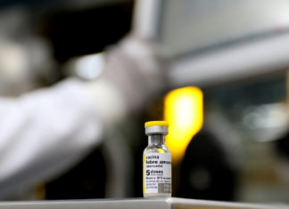 Febre amarela, o que fazer? Vacina, sintomas e cuidados necessários Febre Amarela