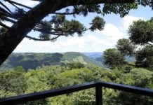 Recomece! 1000 vezes, se for preciso Restaurante Colina Verde Nova Petrópolis