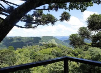 Recomece! 1000 vezes, se for preciso Restaurante Colina Verde Nova Petrópolis