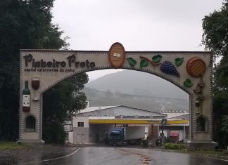 Conheça Pinheiro Preto, capital catarinense do vinho Pinheiro Preto Santa Catarina