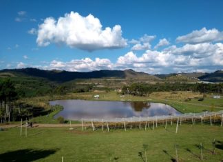Curtindo o Sunset Festival nos Vinhedos do Monte Agudo Vinhedos do Monte Agudo