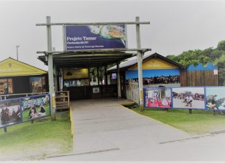 Projeto TAMAR na Barra da Lagoa, em Florianópolis Projeto Tamar Florianópolis