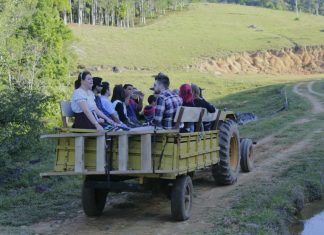 Rota do Imigrante, um tour cultural por Pomerode Tour Cultural Pomerode