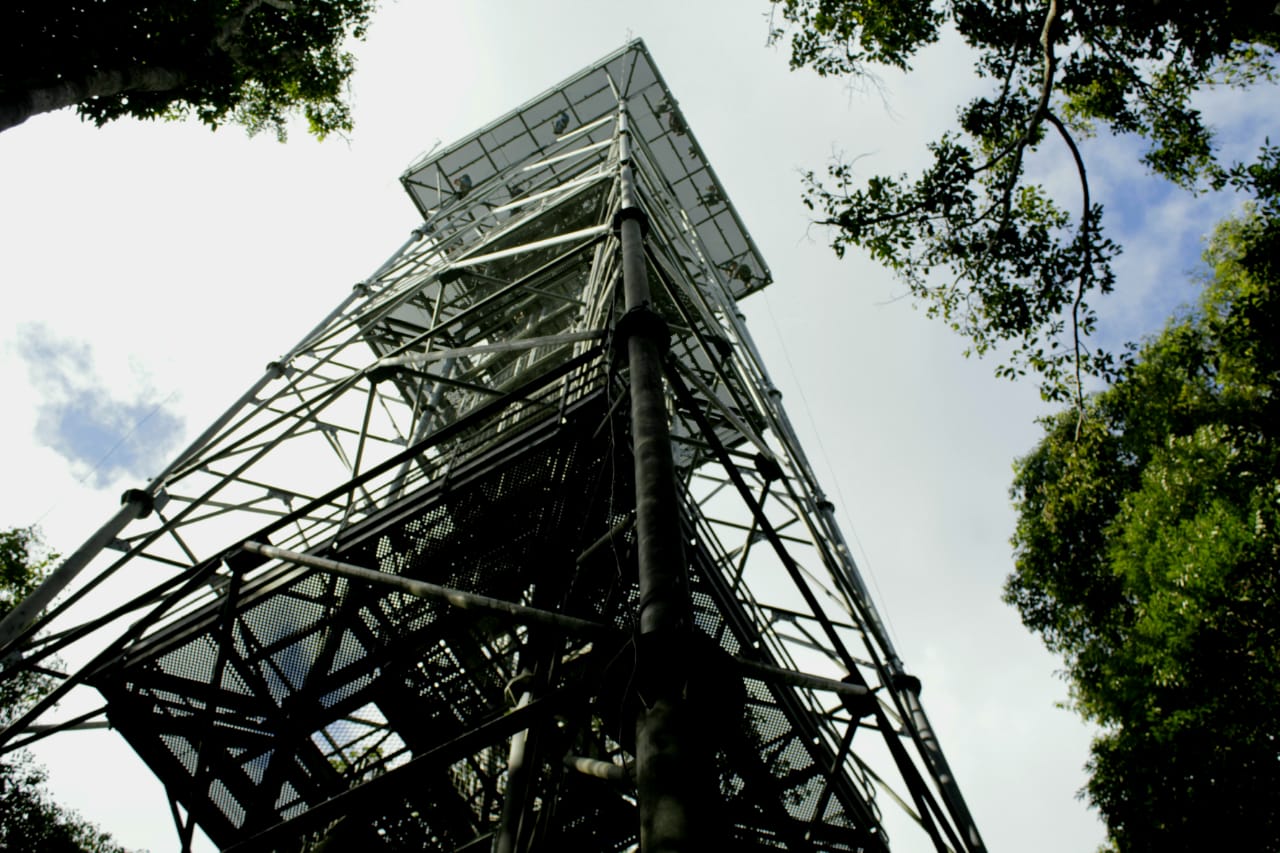 Museu da Amazônia