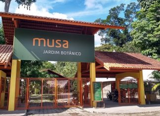Museu da Amazônia – Visitando o MUSA MUSA- Museu da Amazônia Manaus