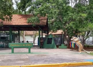 Zoológico do CIGS, atração em Manaus Zoológico do CIGS Manaus